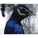 The Peacock Charcoal Luxe Art